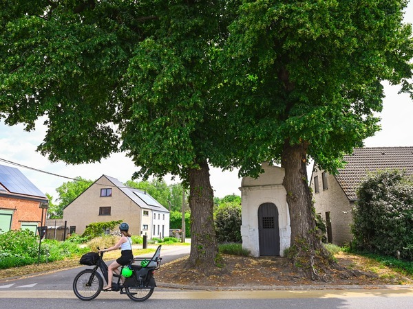 Fietser voor de lindenbomen in de Drielindenstraat aan de zestiende eeuwse kapel.